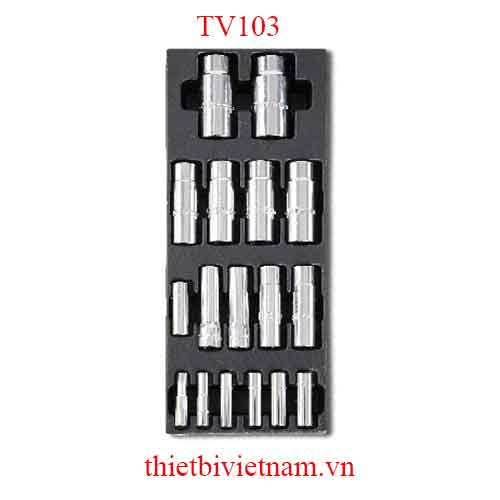 EMPTY THERMOFORMED 1/4 BETA MODEL TV103