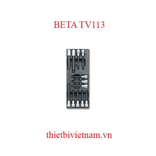 EMPTY THERMOFORMED 1/4 BETA MODEL TV113