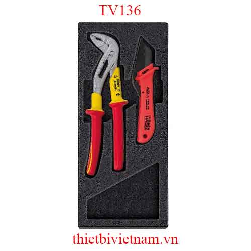 EMPTY THERMOFORMED 1/4 BETA MODEL TV136