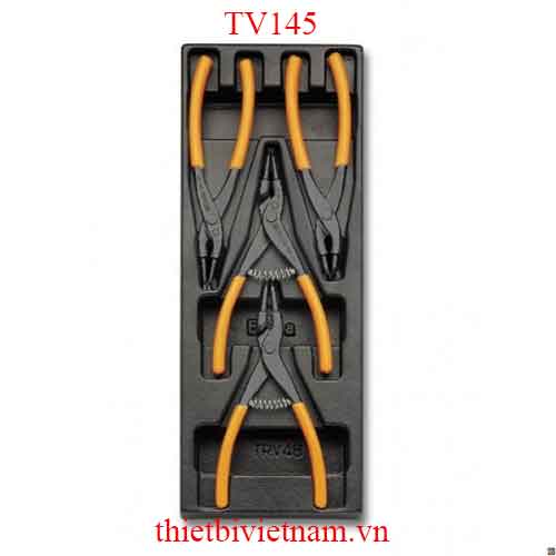 EMPTY THERMOFORMED 1/4 BETA MODEL TV145