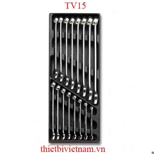 EMPTY THERMOFORMED 1/4 BETA MODEL TV15