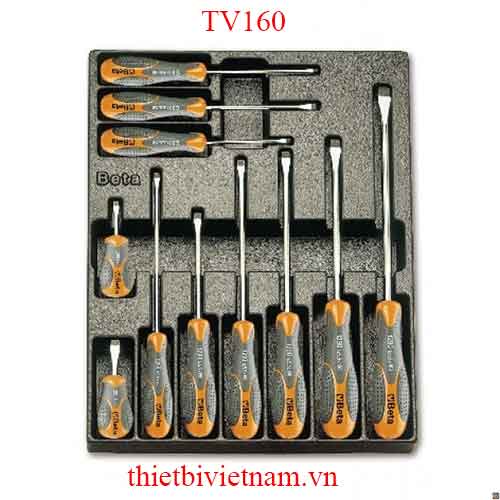 EMPTY THERMOFORMED 1/4 BETA MODEL TV160