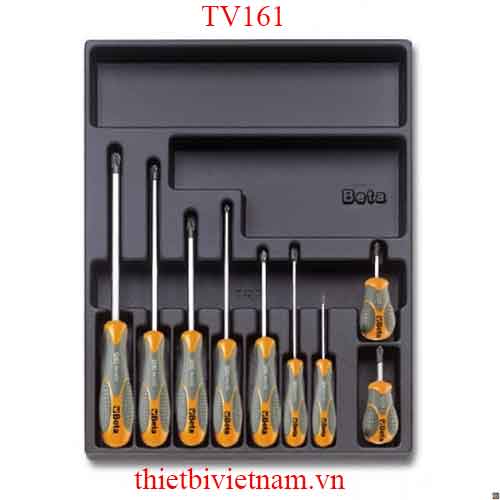 EMPTY THERMOFORMED 1/4 BETA MODEL TV161