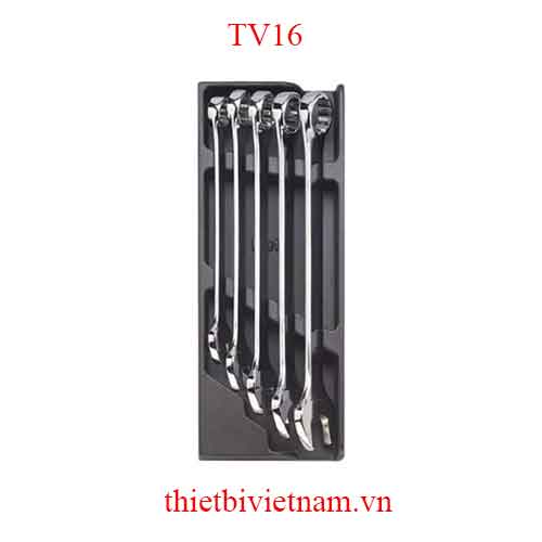 EMPTY THERMOFORMED 1/4 BETA MODEL TV16