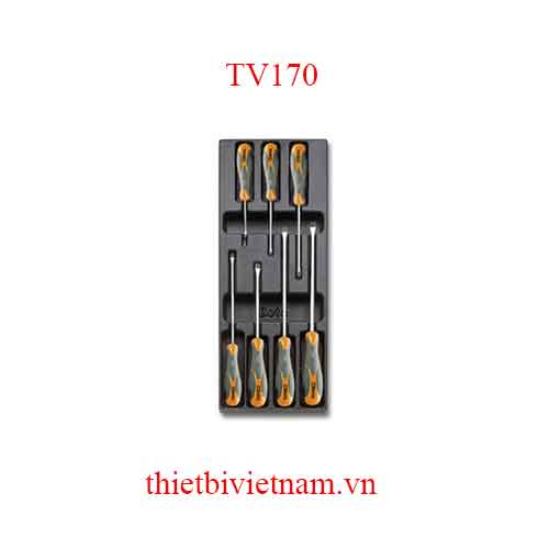 EMPTY THERMOFORMED 1/4 BETA MODEL TV170