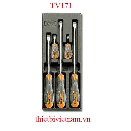 EMPTY THERMOFORMED 1/4 BETA MODEL TV171