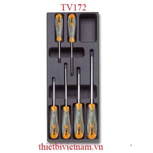 EMPTY THERMOFORMED 1/4 BETA MODEL TV172