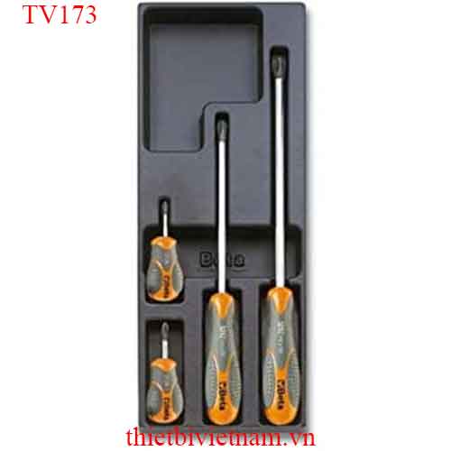 EMPTY THERMOFORMED 1/4 BETA MODEL TV173