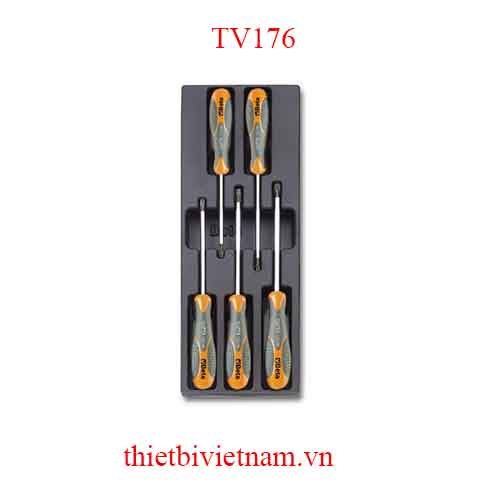 EMPTY THERMOFORMED 1/4 BETA MODEL TV176