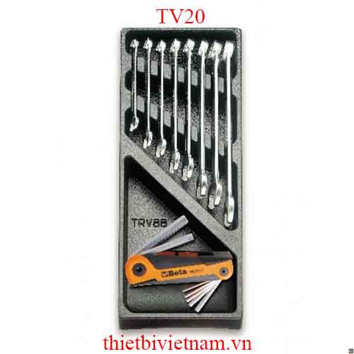 EMPTY THERMOFORMED 1/4 BETA MODEL TV20