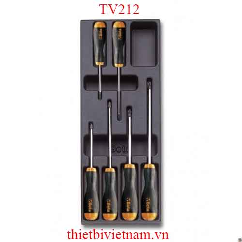 EMPTY THERMOFORMED 1/4 BETA MODEL TV212