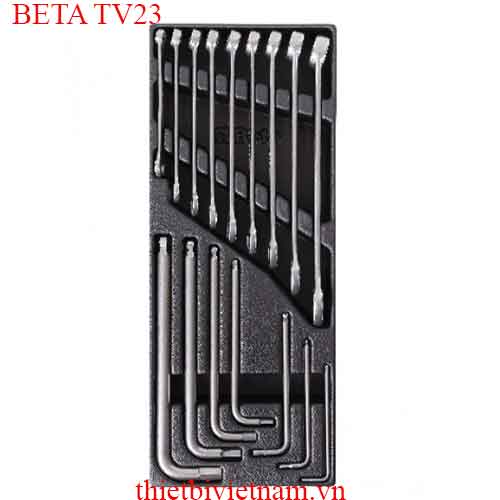 EMPTY THERMOFORMED 1/4 BETA MODEL TV23