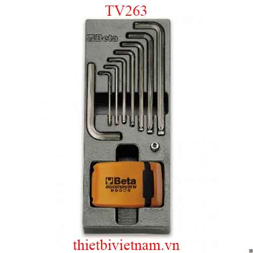 EMPTY THERMOFORMED 1/4 BETA MODEL TV263