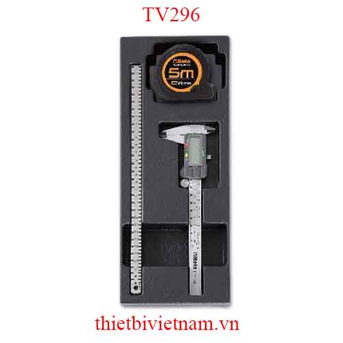 EMPTY THERMOFORMED 1/4 BETA MODEL TV296