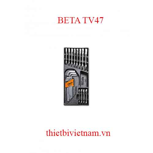 EMPTY THERMOFORMED 1/4 BETA MODEL TV47