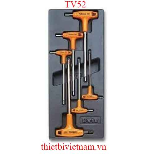 EMPTY THERMOFORMED 1/4 BETA MODEL TV52