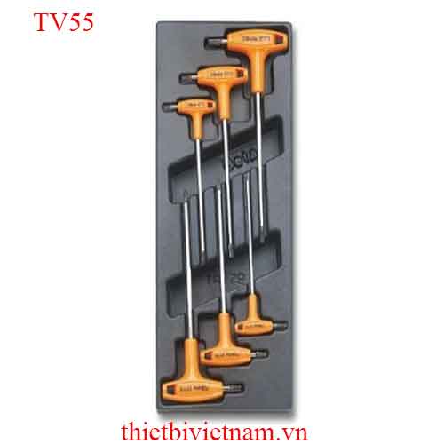 EMPTY THERMOFORMED 1/4 BETA MODEL TV55