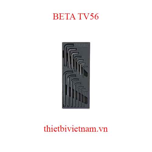 EMPTY THERMOFORMED 1/4 BETA MODEL TV56
