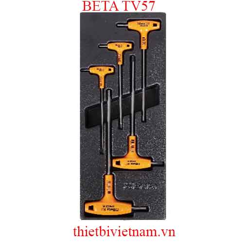 EMPTY THERMOFORMED 1/4 BETA MODEL TV57