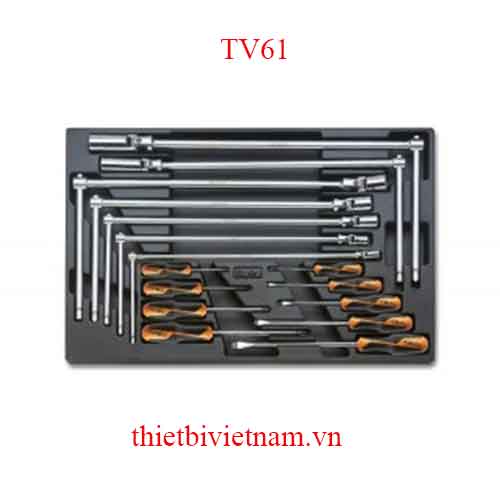 EMPTY THERMOFORMED 1/4 BETA MODEL TV61