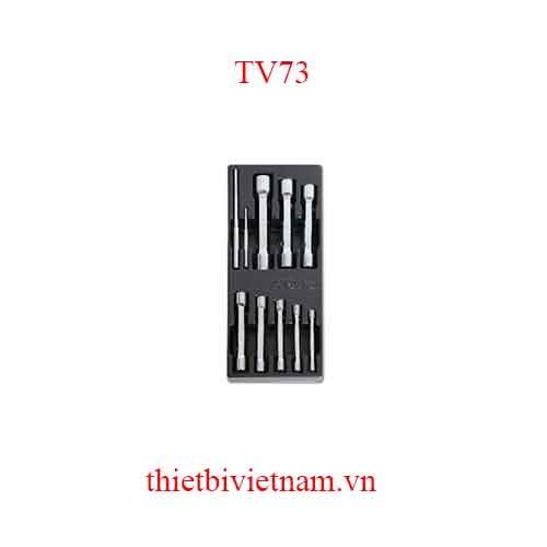 EMPTY THERMOFORMED 1/4 BETA MODEL TV73