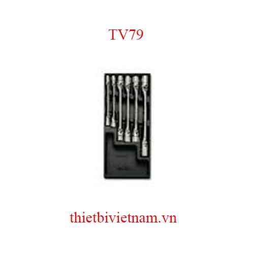 EMPTY THERMOFORMED 1/4 BETA MODEL TV79