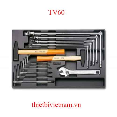 EMPTY THERMOFORMED BETA MODEL TV60