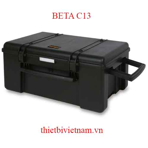 EMPTY TOOL TRUNK WITH CASTORS BETA MODEL C13
