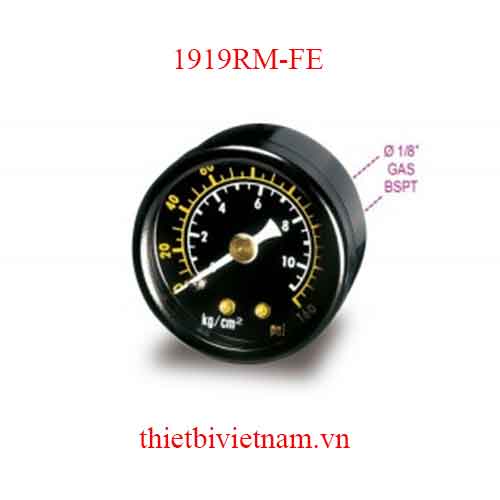 FE-SPARE PRESSURE GAUGE 1919FE BETA MODEL 1919RM-FE