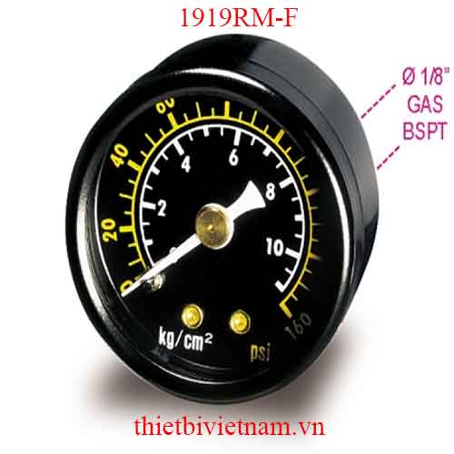 F-SPARE PRESSURE GAUGE FOR 1919F BETA MODEL 1919RM-F