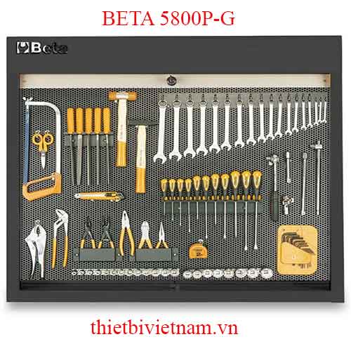 G-PANEL C58 P/G + 86 PCS BETA MODEL 5800P-G