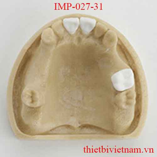 IMP-027-31 IMPLANT PRACTICE MODEL WITH EMBEDDING HOLES