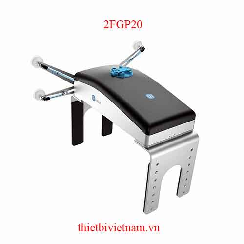 Kẹp gắp điện Pallet Model 2FGP20