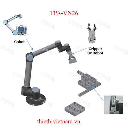 Kẹp Pallet RG2 & RG6 Model TPA-VN26