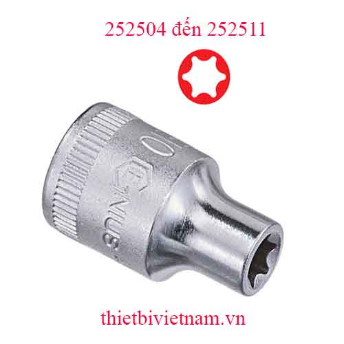 KHẨU 1/4 INCH ĐẦU SAO 6 CẠNH HÃNG GENIUS MODEL 252504 đến 252511