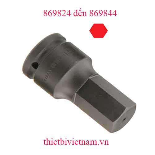 KHẨU, TUÝP 1 INCH ĐẦU VÍT LỤC GIÁC HỆ INCH HÃNG GENIUS MODEL 869824 đến 869844