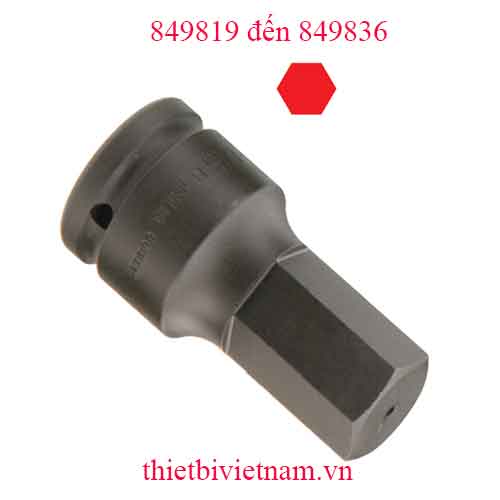 KHẨU, TUÝP 1 INCH ĐẦU VÍT LỤC GIÁC HỆ MÉT HÃNG GENIUS MODEL 849819 đến 849836