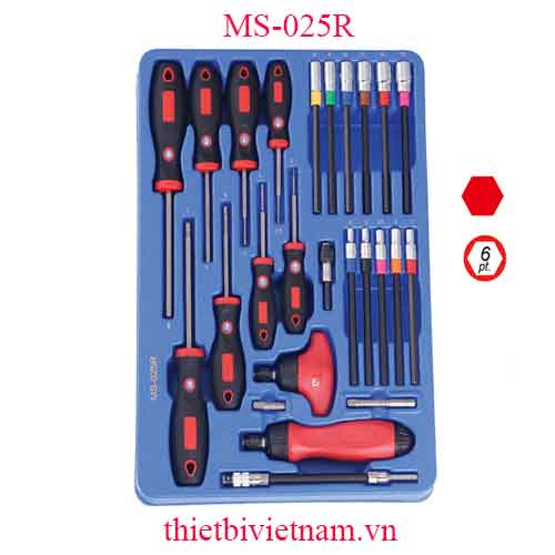 KHAY ĐỰNG BỘ TUỐC NƠ VÍT ĐẦU LỤC GIÁC 25 MÓN HỆ MÉT MS-025R