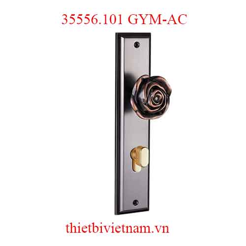 Khóa cửa HK kẽm VICKINI 35556.101 GYM-AC dài 260