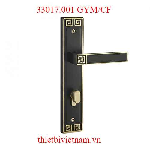 Khóa cửa VICKINI 33017.001 GYM/CF dài 260