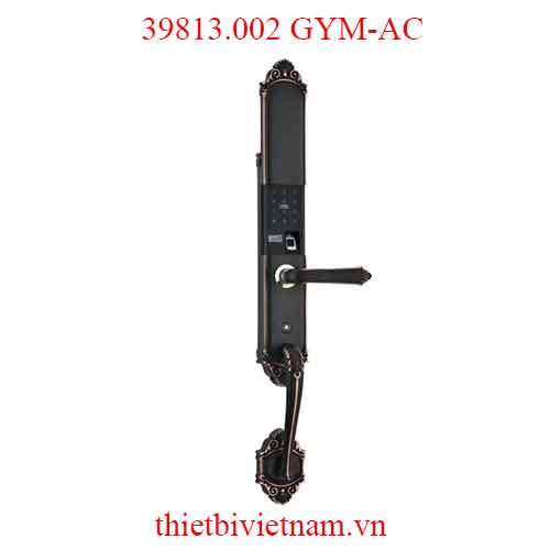 Khóa VICKINI MODEL 39813.002 GYM-AC (APP)