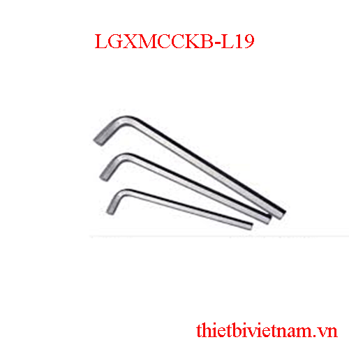 Lục giác xi mờ cao cấp, không đầu bi 19 mm LICOTA LGXMCCKB-L19