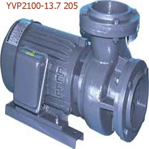Máy bơm đồng ruộng YVP2100-13.7 205