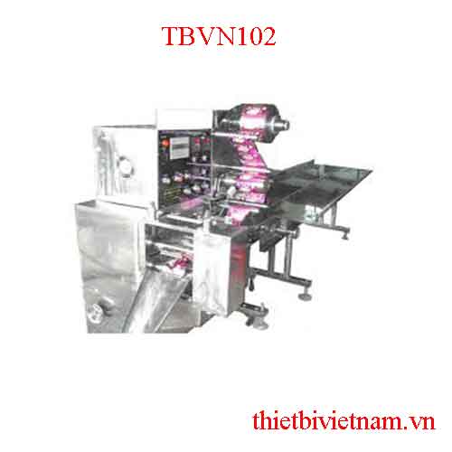Máy đóng gói nằm lớn (nguyên liệu khối) TBVN102