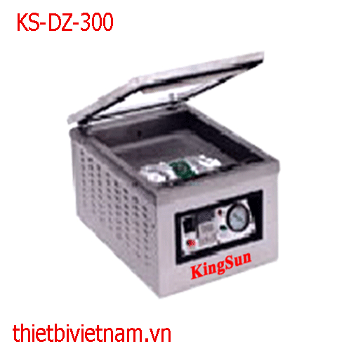  Máy hút chân không 1 buồng Kingsun KS-DZ-300