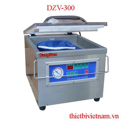 Máy hút chân không DZV-300
