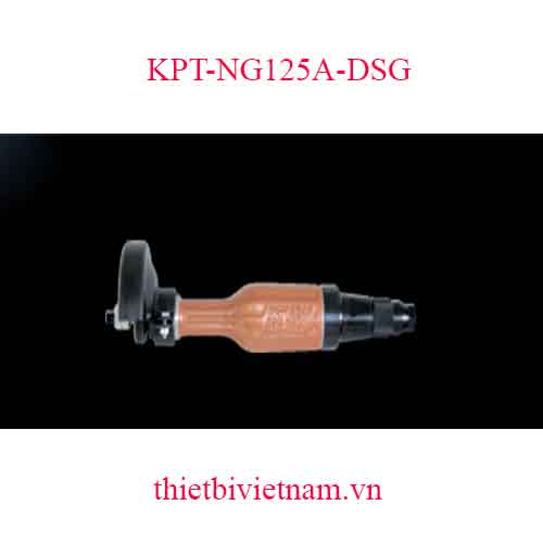 MÁY MÀI THẲNG HÃNG KAWASAKI KPT-NG125A-DSG