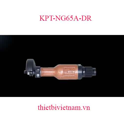 MÁY MÀI THẲNG HÃNG KAWASAKI KPT-NG65A-DR