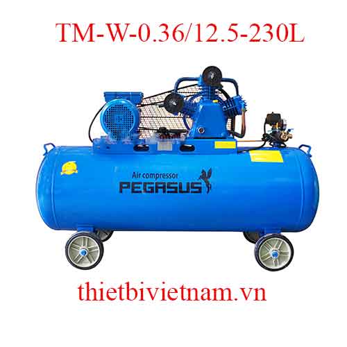 Máy nén hơi 2 cấp hãng Pegasus TM-W-0.36/12.5-230L - 4HP, 230L, 12.5bar 