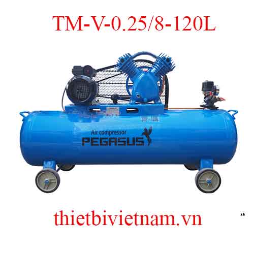 Máy nén khí 1 cấp hãng Pegasus TM-V-0.25/8-120L - 3HP, 120L, 8 bar (220V)